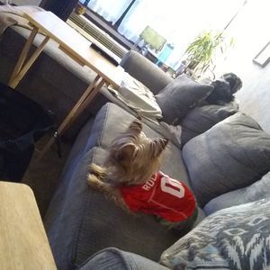 Meet your Posher, Tamrisa